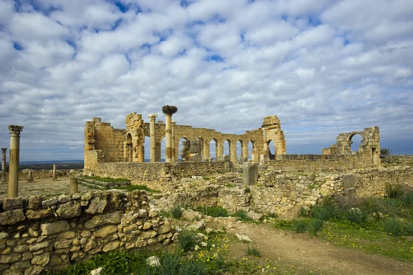 stock image Volubilis, roman ruins near city of Fes in Morocco