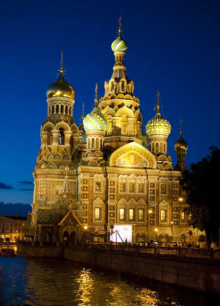 Cattedrale di San Pietroburgo — Foto Stock