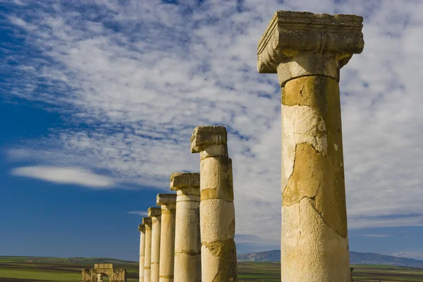 Romeinse ruïnes in Volubilis, Marokko — Stockfoto