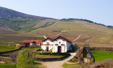 Tokaj, Hungary clipart