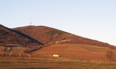 Tokaj, Macaristan