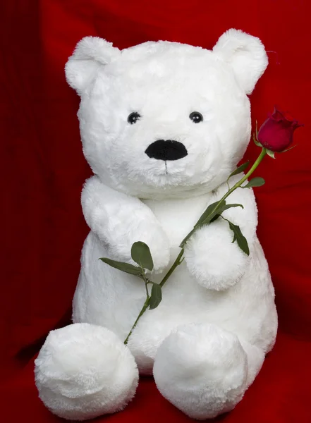 stock image Teddy bear over red