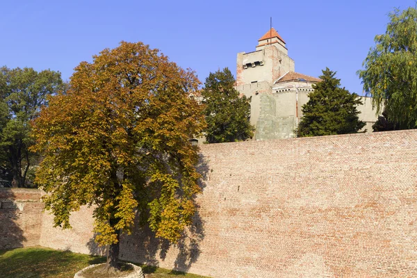 Belgrade fort at fall, Serbia — Stock Photo, Image