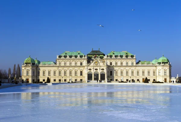 在维也纳的贝尔维德雷宫 — 图库照片
