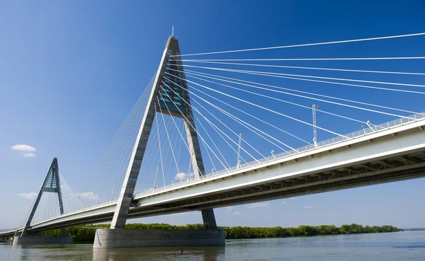 stock image The Megyeri bridge