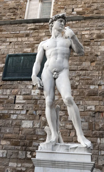 Florenz, david — Stockfoto