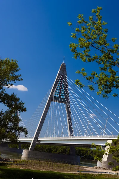 stock image Megyeri bridge