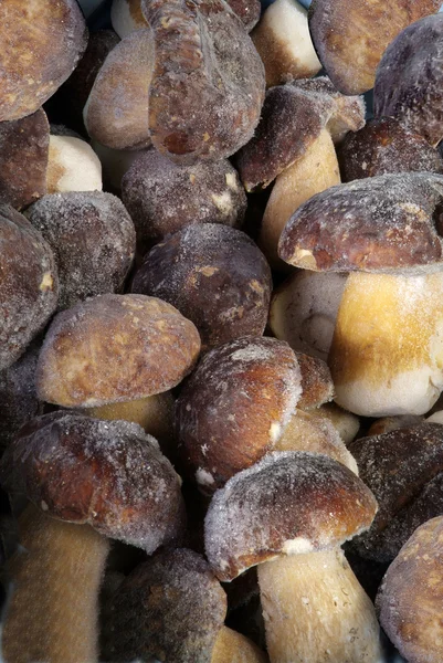 stock image Frozen mushrooms