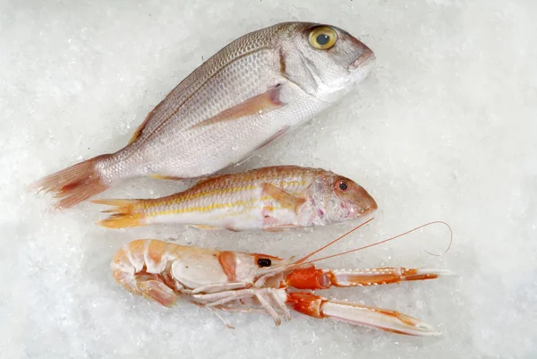 stock image Three fresh fish on ice