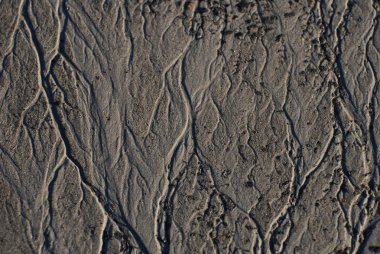 Textured Mud on Riverbank clipart