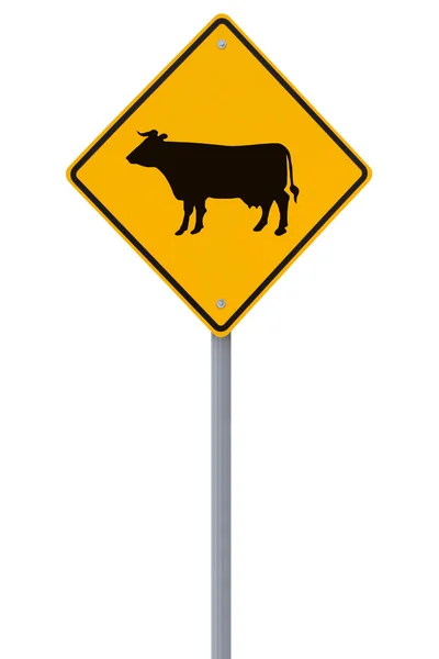 stock image Cattle Crossing