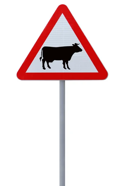 stock image Cattle Crossing