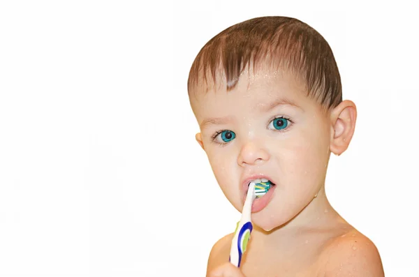 Retrato uma criança limpa os dentes uma escova de dentes em um fundo branco — Fotografia de Stock