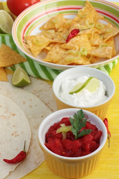 stock image Mexican nachos and salsa