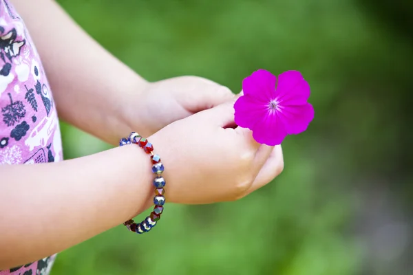 Kinderhände halten eine Blume hin — Stockfoto