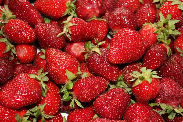 stock image Strawberries