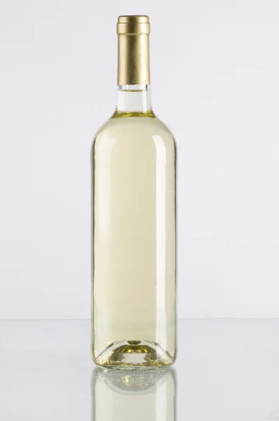 Witte wijnstok — Stockfoto