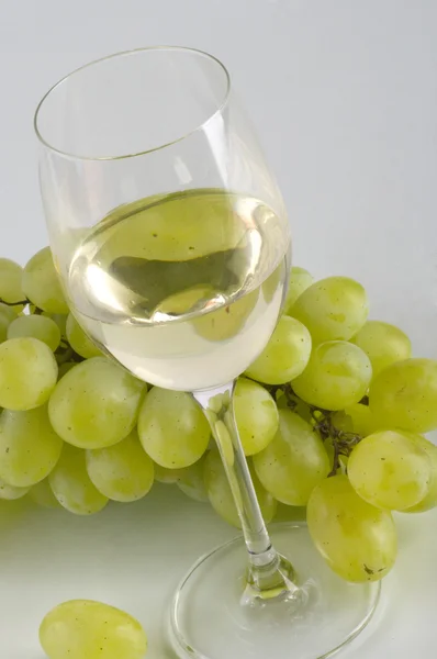 Бокал белого вина и виноград — стоковое фото