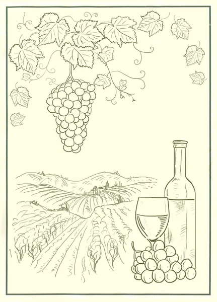 Wijngaard illustratie — Stockfoto