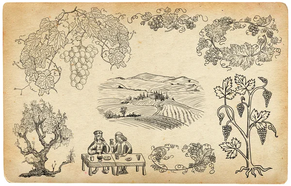 Ilustracja winogron — Zdjęcie stockowe