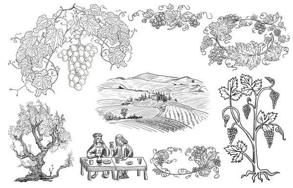 Виноград ілюстрація — стокове фото