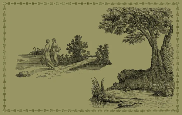 Ilustração de árvores velhas — Fotografia de Stock