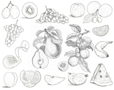 meyve karışımı çizilmiş şekil