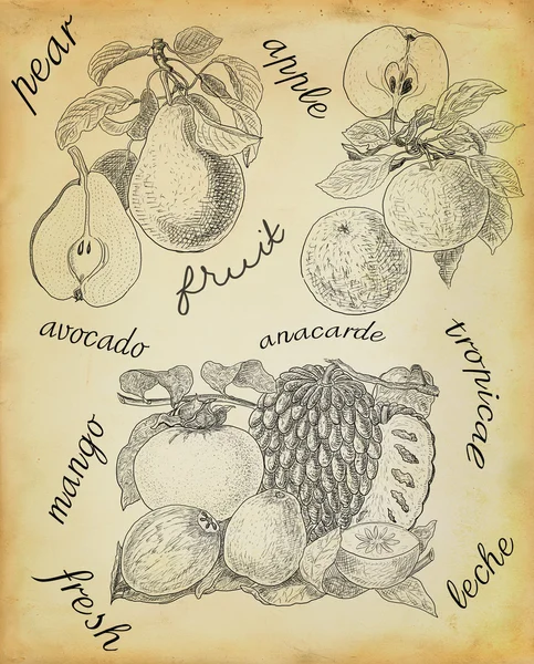 Fruits illustration — Stock Photo, Image