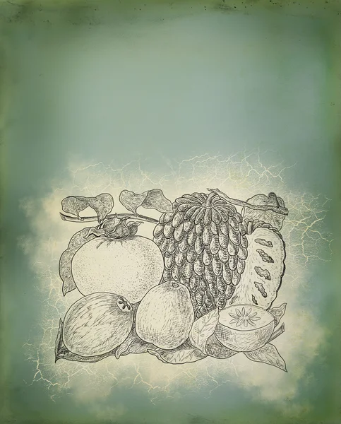 Owoce egzotyczne — Zdjęcie stockowe