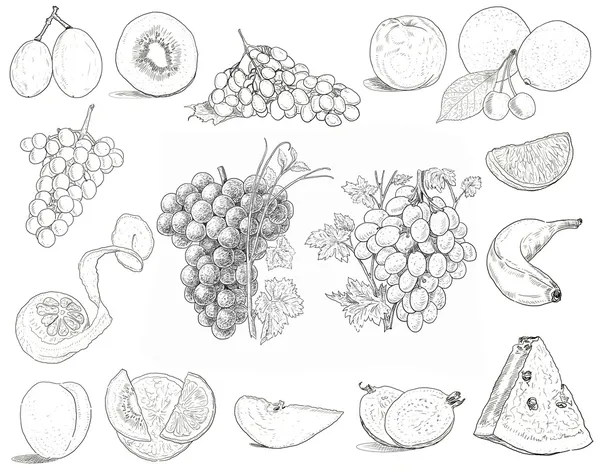 Ilustracja owoców — Zdjęcie stockowe
