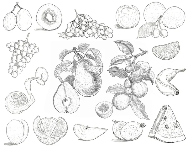 Mezcla de frutas dibujadas a mano — Foto de Stock