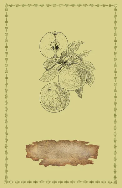 Apfel-Illustration — Stockfoto