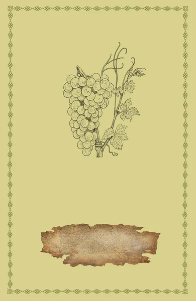 Druiven illustratie — Stockfoto