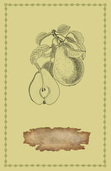 Illustrazione della pera — Foto Stock
