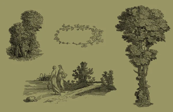 Trees set illustration — Stock Photo, Image