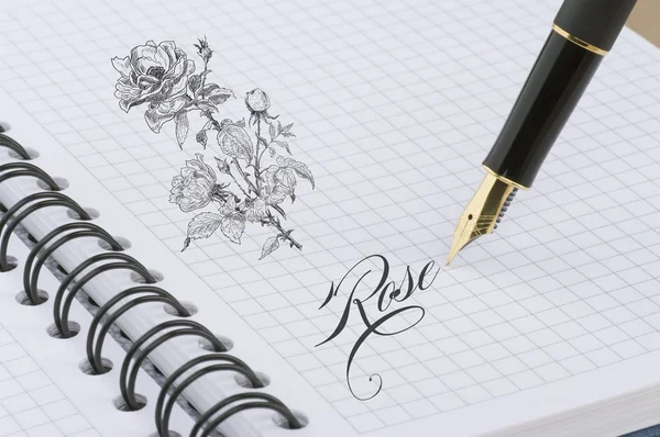 Rose illustration with gold pen — Stock Photo, Image