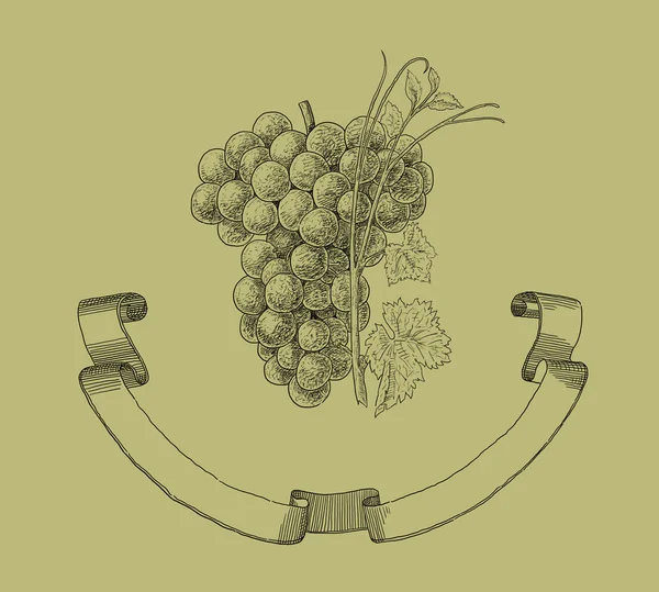 Ilustración de uvas — Foto de Stock