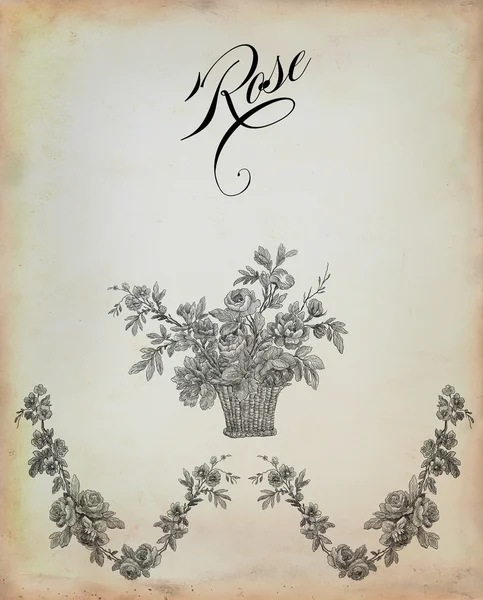 Staré růže obrázek — Stock fotografie