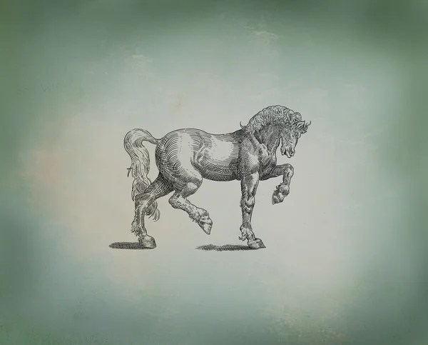 Koń illustratiom — Zdjęcie stockowe