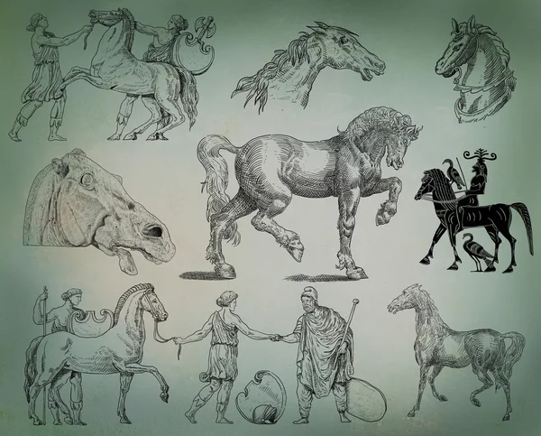 Conjunto de cavalos — Fotografia de Stock
