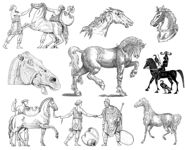 Paarden set — Stockfoto