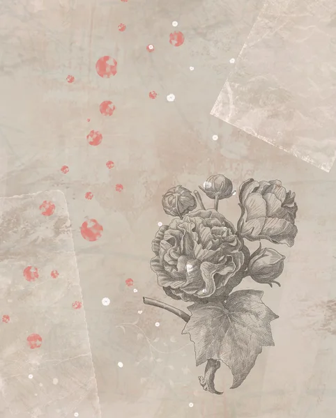 Illustration zur alten Rose — Stockfoto