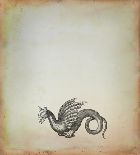 Dragón ilustración —  Fotos de Stock