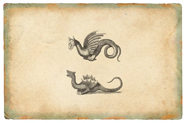 Ilustração Dragão — Fotografia de Stock