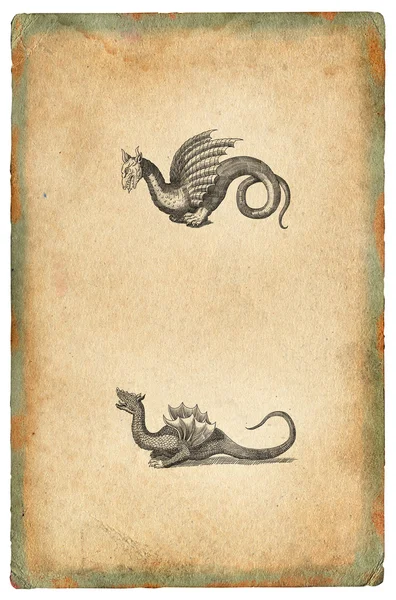 Dragón ilustración — Foto de Stock