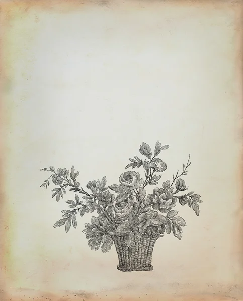 Старая иллюстрация роз — стоковое фото