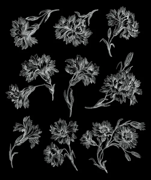 Vecchi fiori illustrazione — Foto Stock