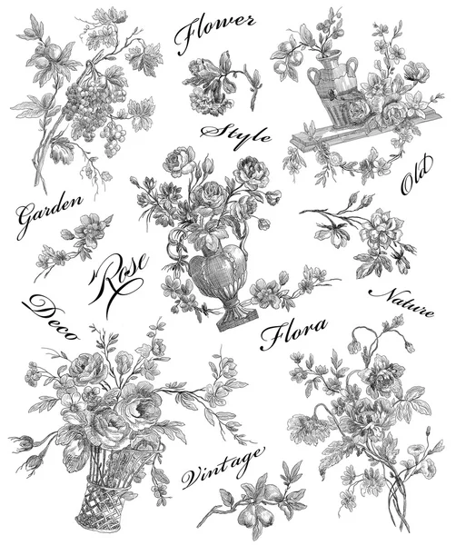 Gamle roser illustration - Stock-foto