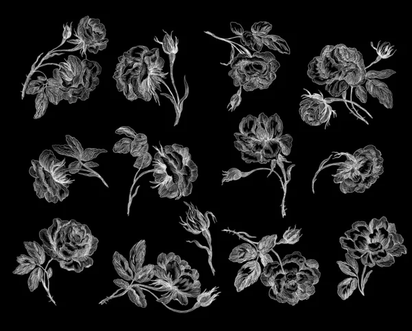 Régi rózsákéra illusztráció — Stock Fotó