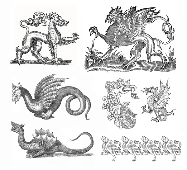 Иллюстрация драконов — стоковое фото